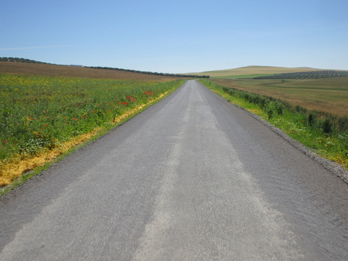 The road to Castro del Rio.